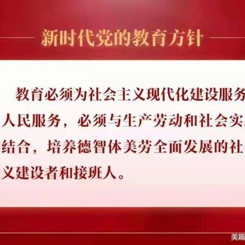 践行新理念，提升新境界——新世纪小学新课标培训实记