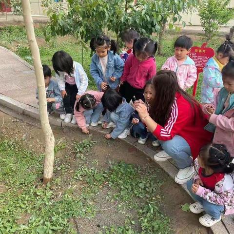 敦煌市幼儿园小四班第一小组《不输在家庭教育———逼孩子说谎话，还要持续到什么时候》观后感