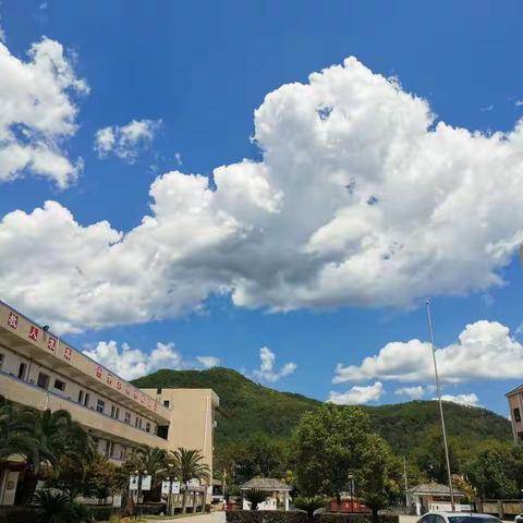 遵循课标 精准命题——老竹民族学校小学英语科学组毕业考试试卷命题大赛