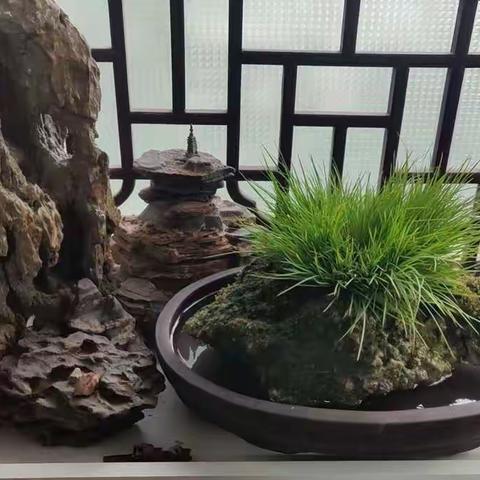 对一个简单的人，用复杂的方法去研读。多此一举也！