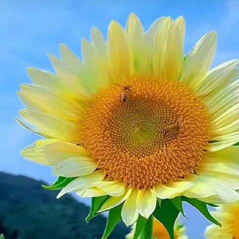 每天，最自由最快乐的是这个时间段了。