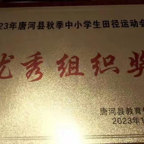 马振抚镇双河小学在唐河县举行的秋季中小学田径运动会中荣获优秀组织奖