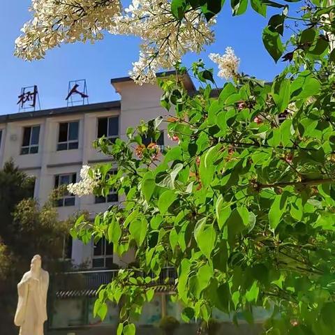 部编版五年级下册第三单元：遨游汉字王国——综合性学习活动