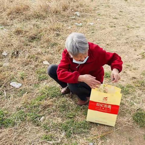 掐苜蓿，彬州人独有的欢乐景象和生活乐趣，此外更有难得的美味