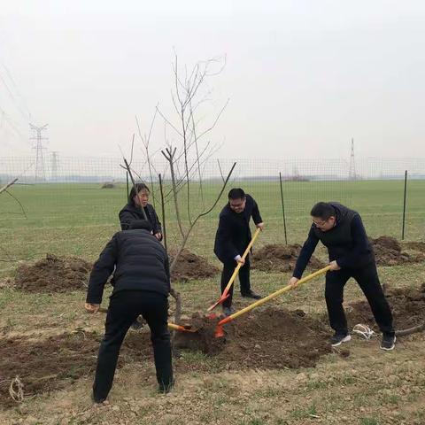 小召乡开展冬季义务植树活动