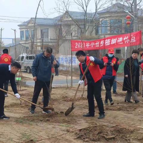春风催新绿 植树正当时——小召乡开展义务植树活动