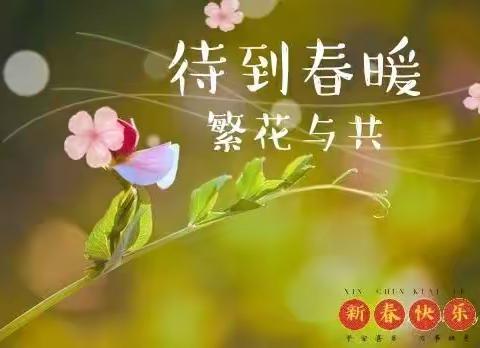 用心防疫 用行博识——第二中学七年五班停课不停学 思想教育绘心灵