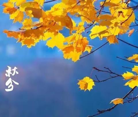 秋分至 秋意浓——沙墩红豆幼儿园二十四节气之秋分