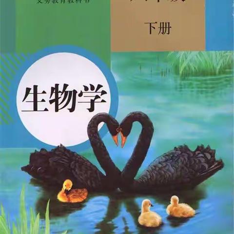 别样作业别样情～～认识鸡蛋