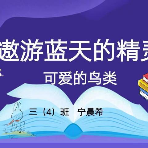 小小讲师进课堂——可爱的鸟类