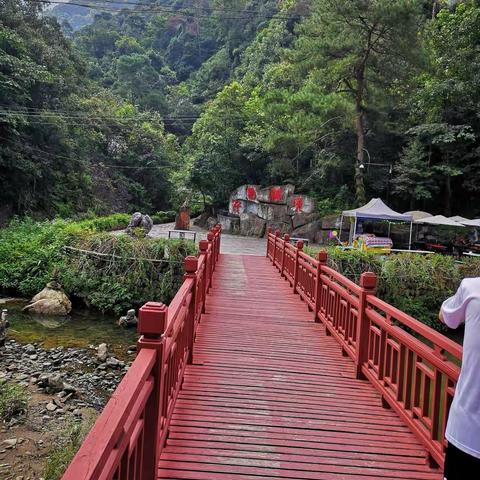 千岛湖林海归真森林公园