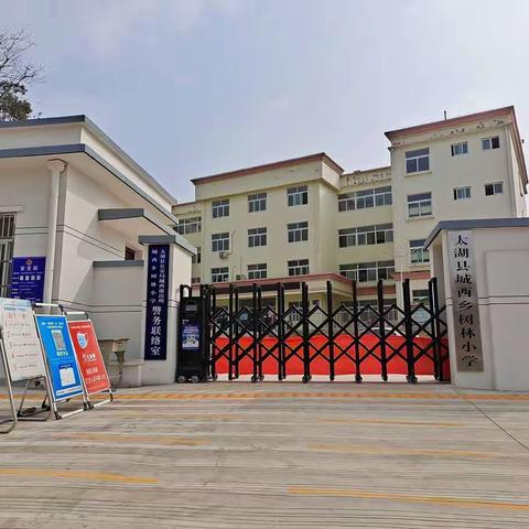 城西乡树林小学放暑假通知