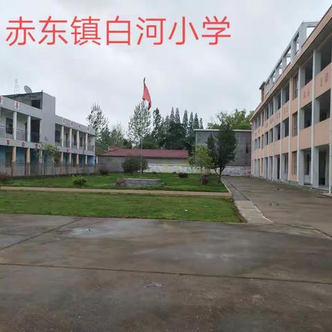 落实防控职责 做好复学准备——赤东镇白河小学召开复学防疫培训会