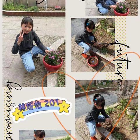 守护绿色，守护安全                                           ———————安吉县第九小学