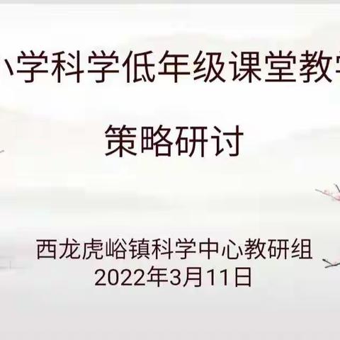 “科学”研讨，共同成长——记西龙虎峪镇小学科学中心教研组教研活动