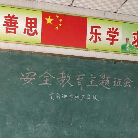 安全常识牢牢记  快乐常伴我和你——菱角池小学高年级组举行“安全教育主题班会”