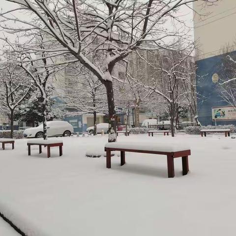 美丽的雪景，有趣的玩耍！