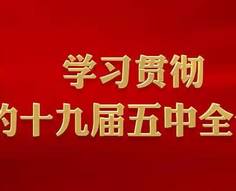 月港中心小学党支部组织学习贯彻“党的十九届五中全会”精神