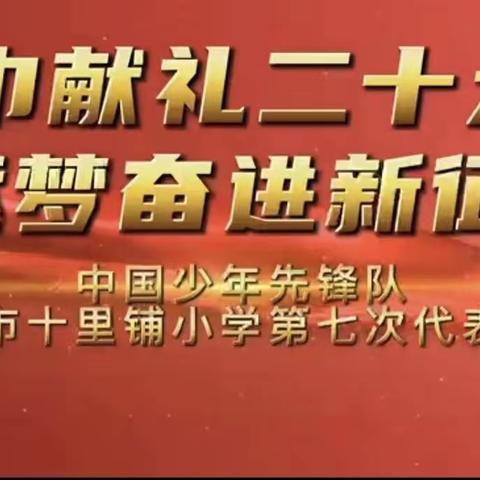 “领巾献礼二十大 逐梦奋进新征程”——2022年西宁市十里铺小学第七次少代会