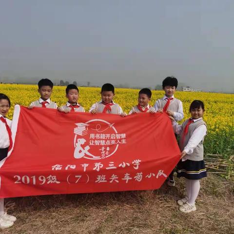 信阳市第三小学三年级（7）班矢车菊小队“美丽乡村行”主题活动