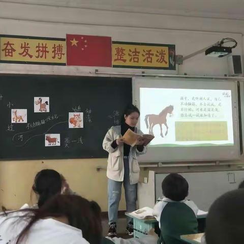 杏花九年一贯制学校(小学部)优质课活动