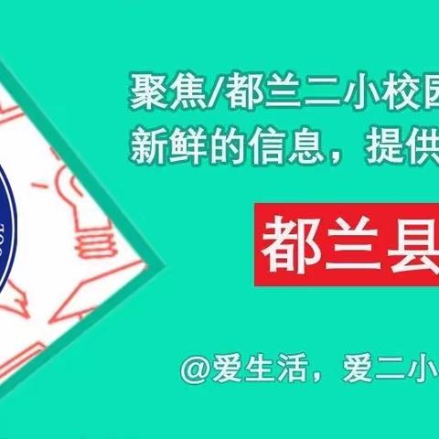 芳华竞绽放 磨练促成长——都兰县第二小学青年教师公开课活动