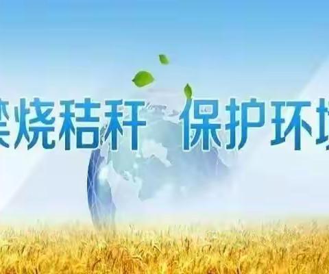 《白沙黎族自治县秸秆禁烧和综合利用条例》全文来了！关乎切身，快来看看