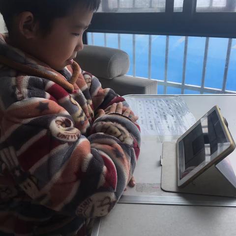 特殊的语文学习旅程（杉木塘小学1703班姜英哲）