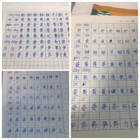 杉木塘小学1703班－姜英哲 停课不停学第三周学习篇