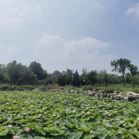 2021级50班暑期学习之星展示