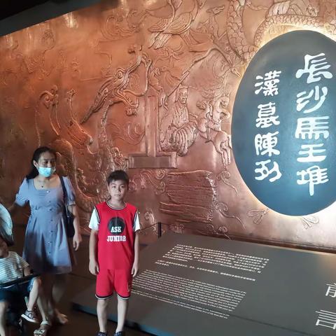 知史爱国  知史爱党———晃州镇三完小78班杨子扬暑假社会实践活动