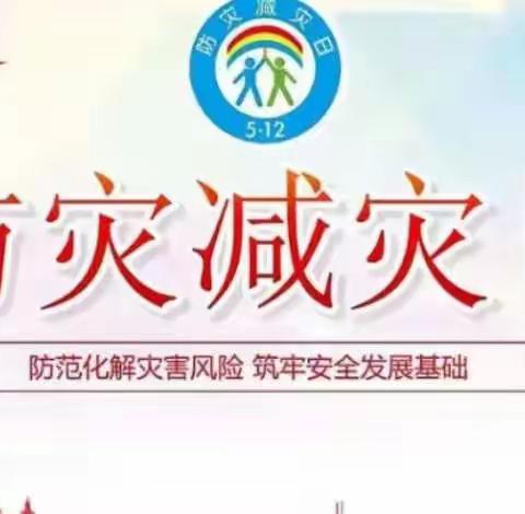 减轻灾害风险 守护美好家园——漳县新寺幼儿园全国“防灾减灾日”主题教育活动侧记