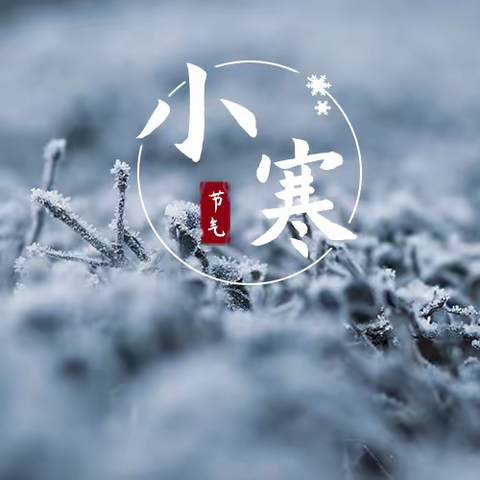 “风吹冬雪落，便觉小寒生”——苴力镇中心幼儿园小寒节气小科普（第八期）