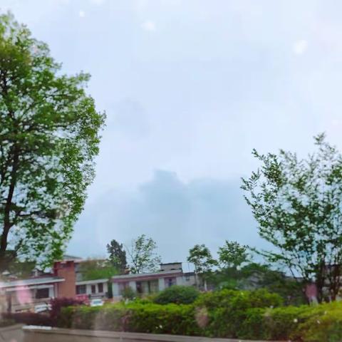 春雨惊天清谷天，最美芳菲四月间－－沙地小学601班四月记