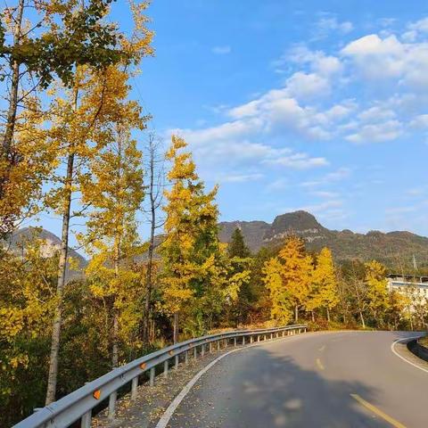 多彩十一月🍁快乐“美”一天——沙地乡中心小学201班十一月记