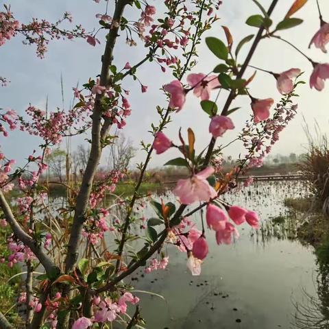 风和日丽，勇创佳绩。