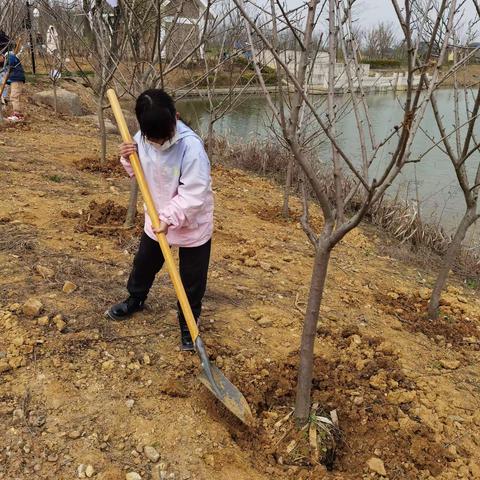 3月12日阳陂湖植树
