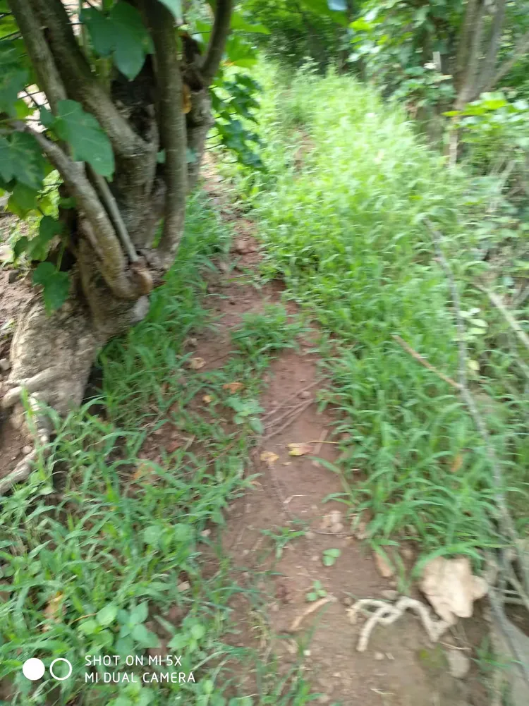 无名小路。