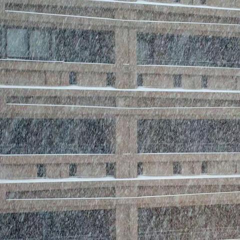 七律  •   咏雪  （己亥正月）