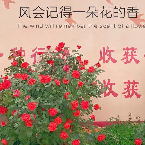 家访有温度，教育有情怀--启智学校在行动