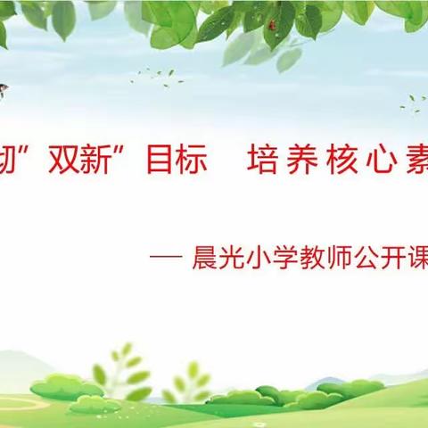 贯彻“双新”目标，落实核心素养——晨光小学教师公开课