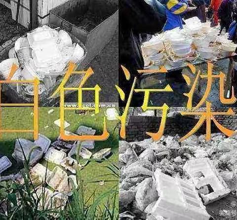 支持禁塑，参与禁塑――海口市第二十一小学六(2)班开展禁塑宣传教育主题班会