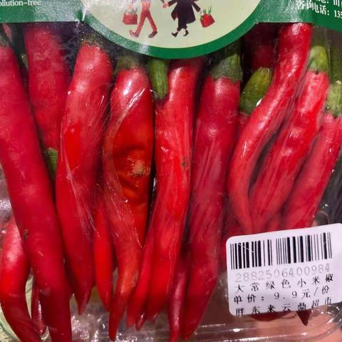 9.2日中午巡场整改