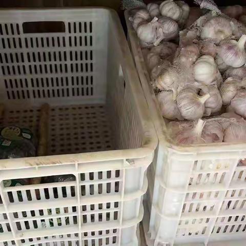 9月11蔬菜中午巡场整改