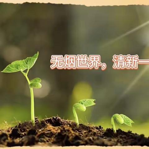 远离烟草，保护环境，健康“童”行----易学幼儿园禁烟知识宣传