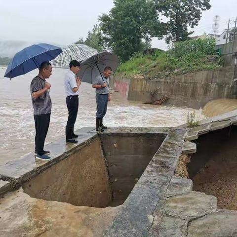 雨情就是命令，坚守就是使命——英山公路局全力做好防汛排险工作