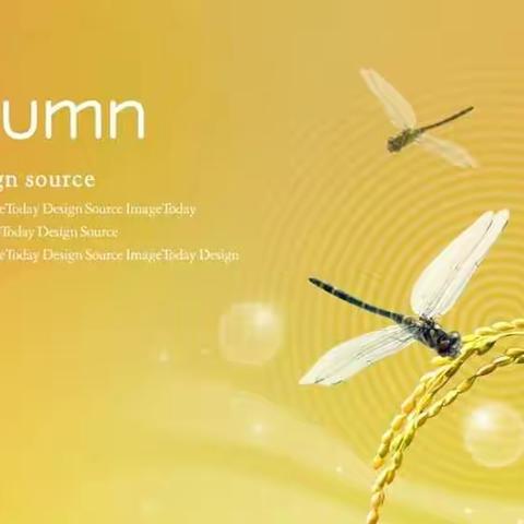 同课异构   异彩纷呈