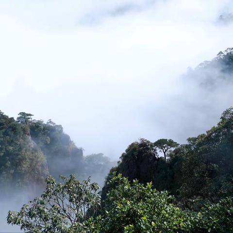 云海莽山