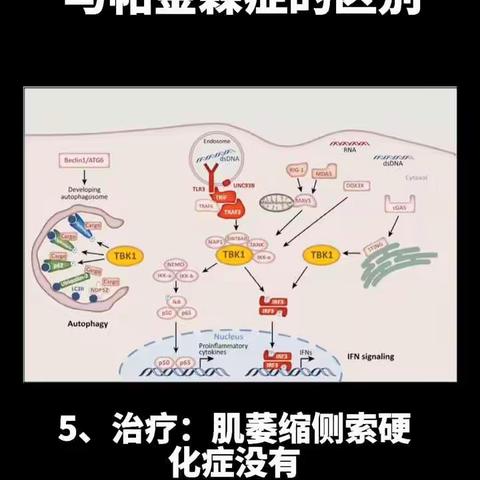 北京辰星中医：肌萎缩侧索硬化症与帕金森症的区别（五）