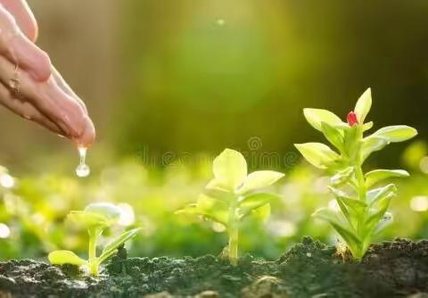 “以说促讲助成长”宁陵县第三实验小学开展和谐有效的一年级语文说课教研活动